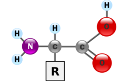 amino-acid-mcat