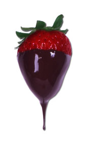 Organic Chocolate Green Drink Powder-Really? Chocolate?
