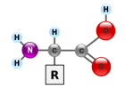 Amino-Acid-MCAT